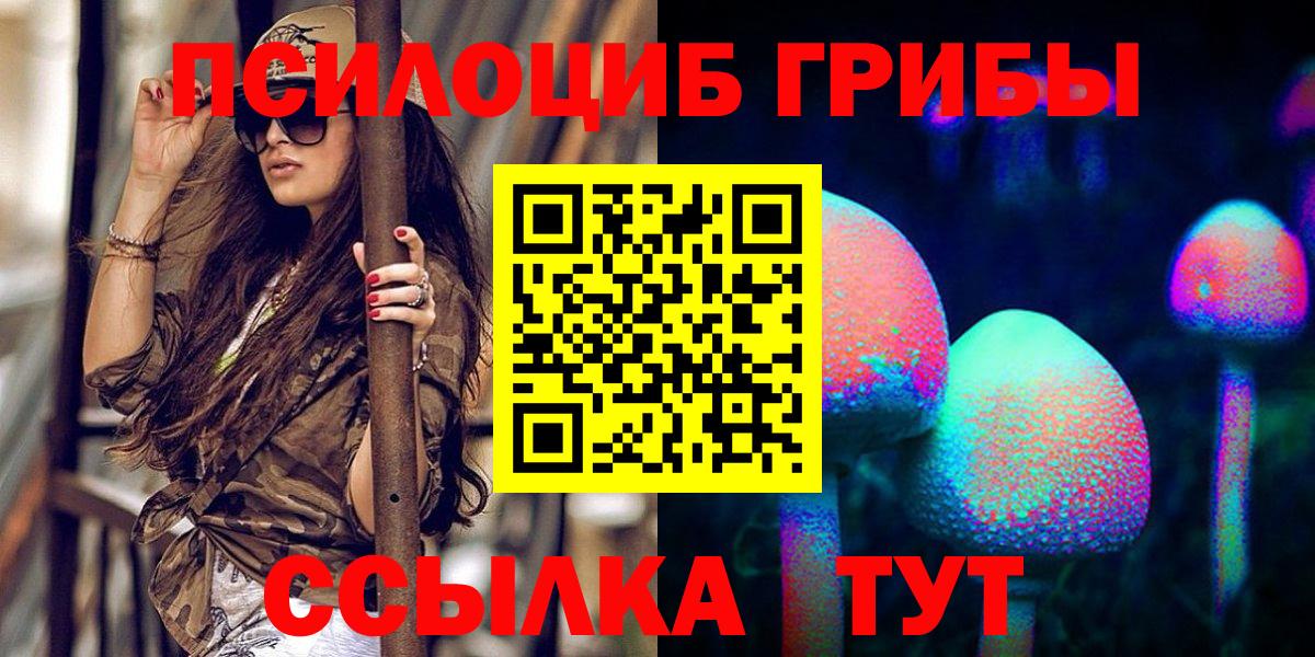 Псилоцибиновые грибы MAGIC MUSHROOMS  закладки  Вход с VPN  Тихорецк  Галлюциногенные грибы MAGIC MUSHROOMS 